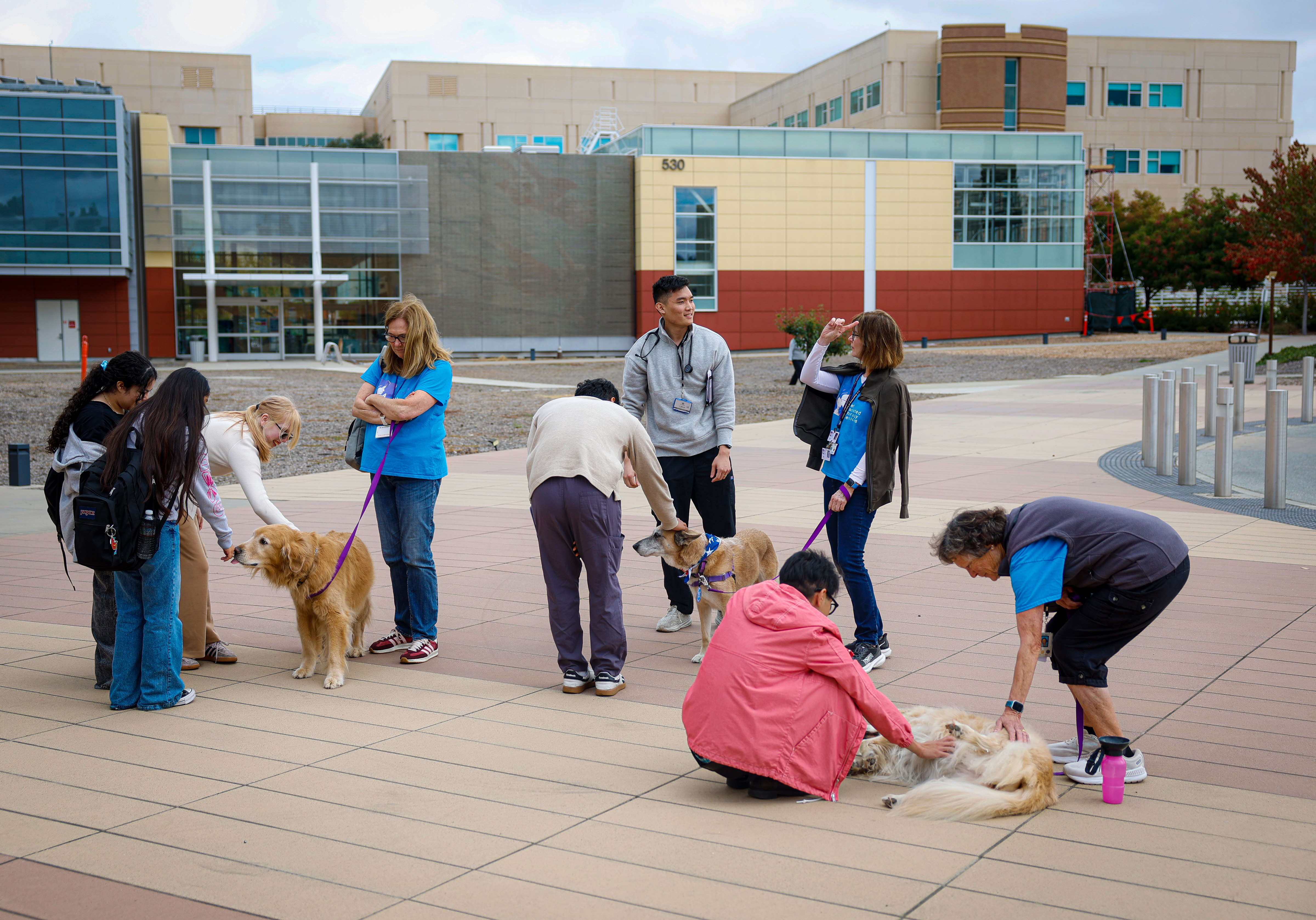 People stop pet dogs participating in the Furry Friends Pet...
